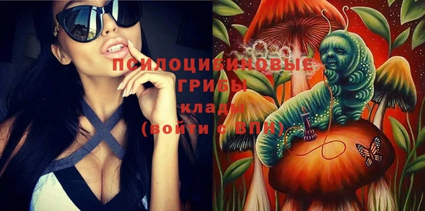 а пвп мука Бородино