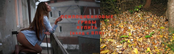 трава Бронницы