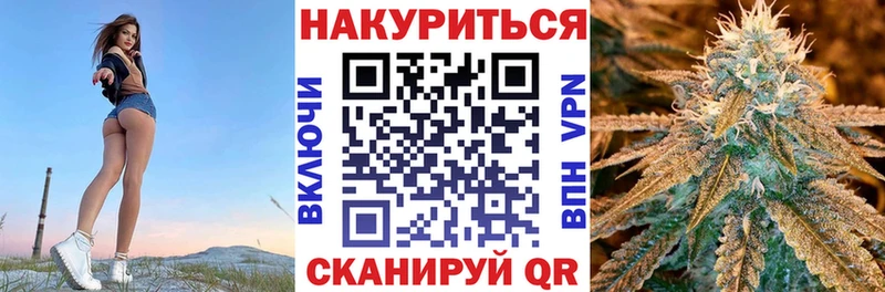 где купить наркоту  Ростов  Конопля White Widow 